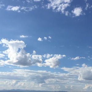 Meet your Posher, Jacqueline